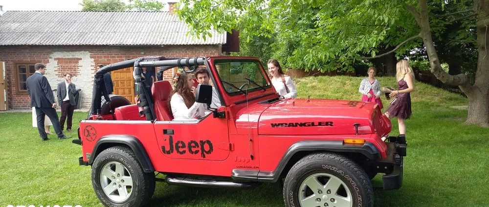 Jeep Wrangler cena 56000 przebieg: 190000, rok produkcji 1995 z Puławy małe 137